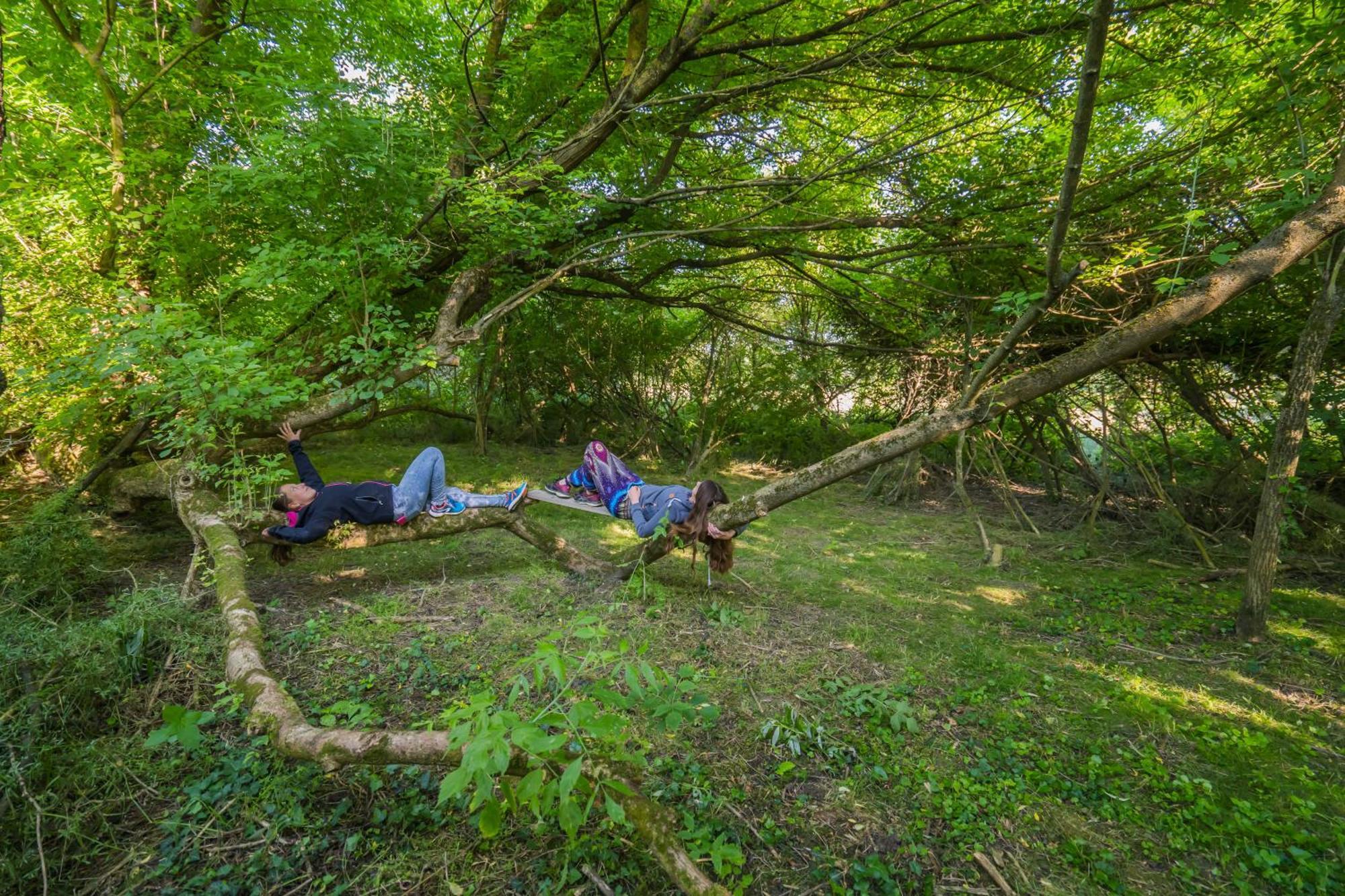 Szellos Ret Camping Balvanyos Экстерьер фото