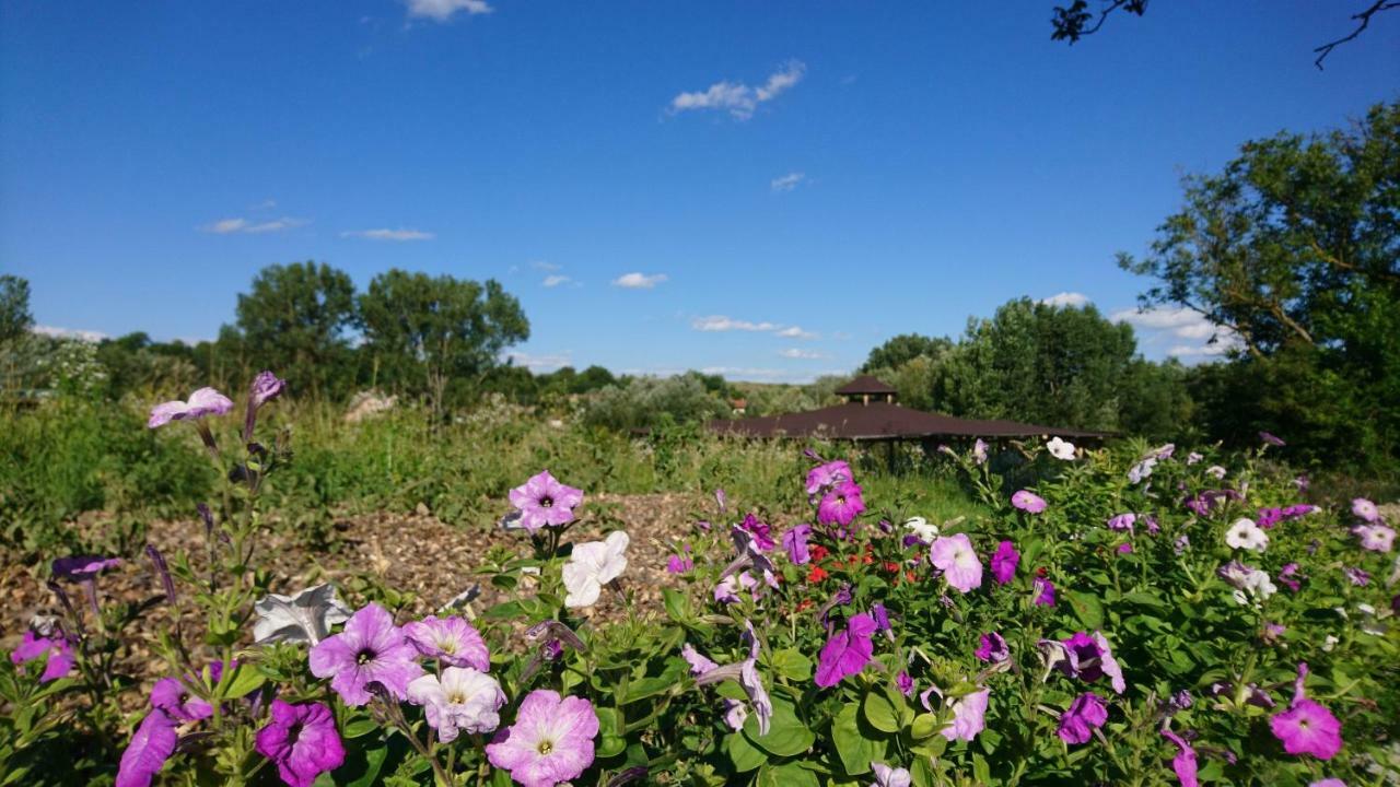Szellos Ret Camping Balvanyos Экстерьер фото