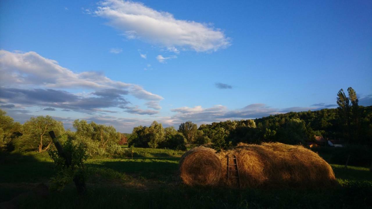 Szellos Ret Camping Balvanyos Экстерьер фото